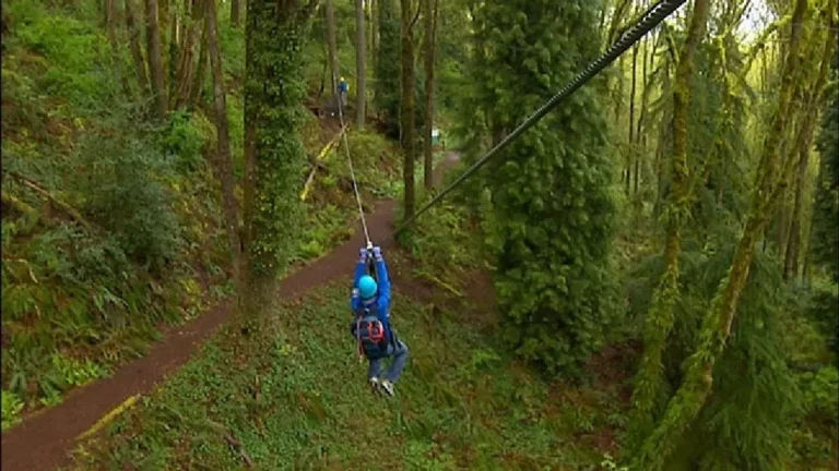 Zip Tour