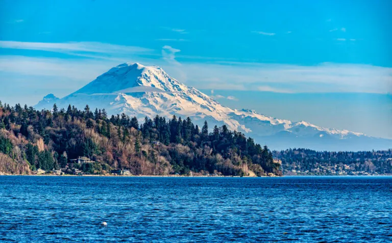 Mt. Rainier