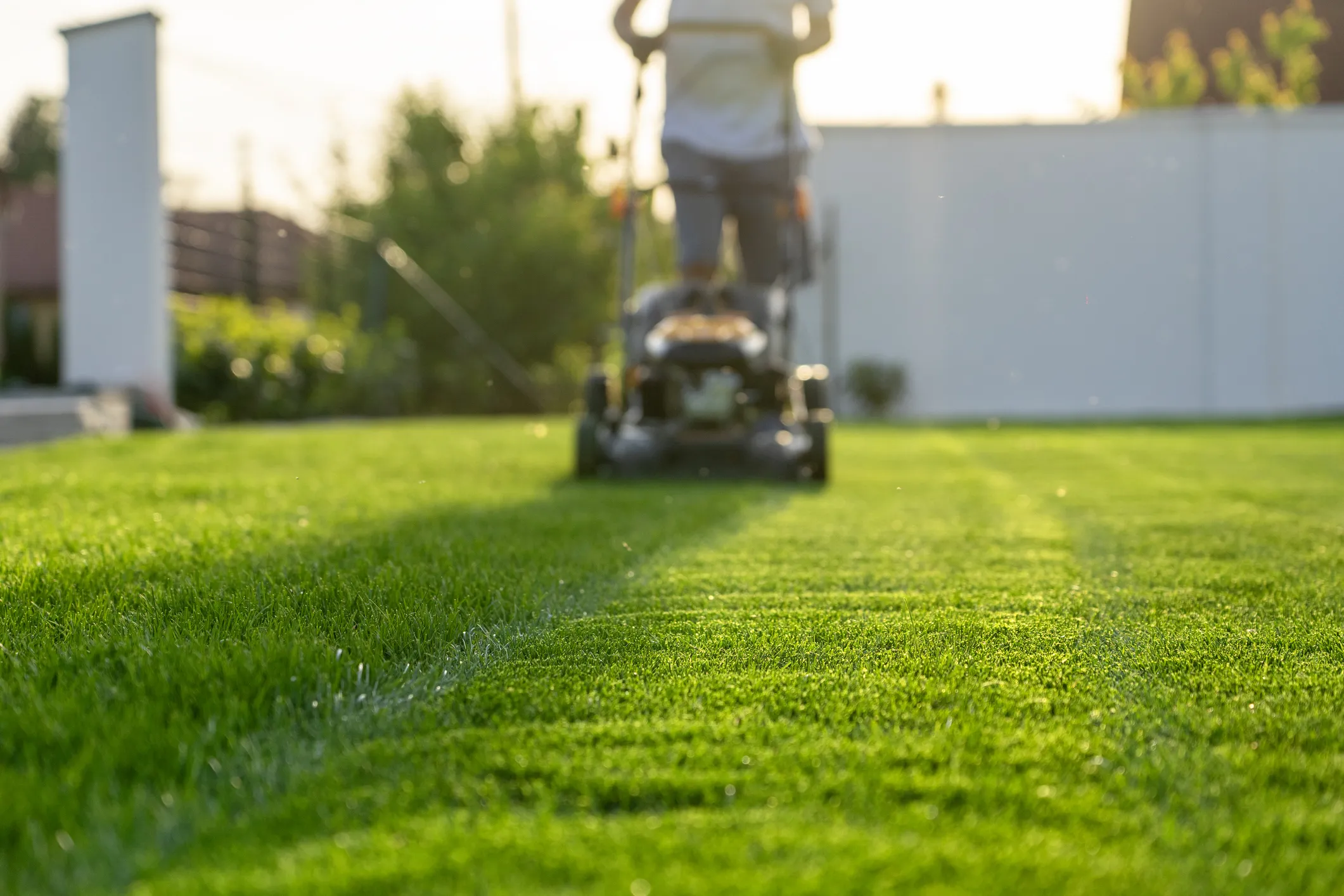 Lawn Mowing