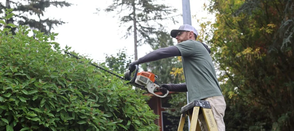 Jubilee Reach Service Days