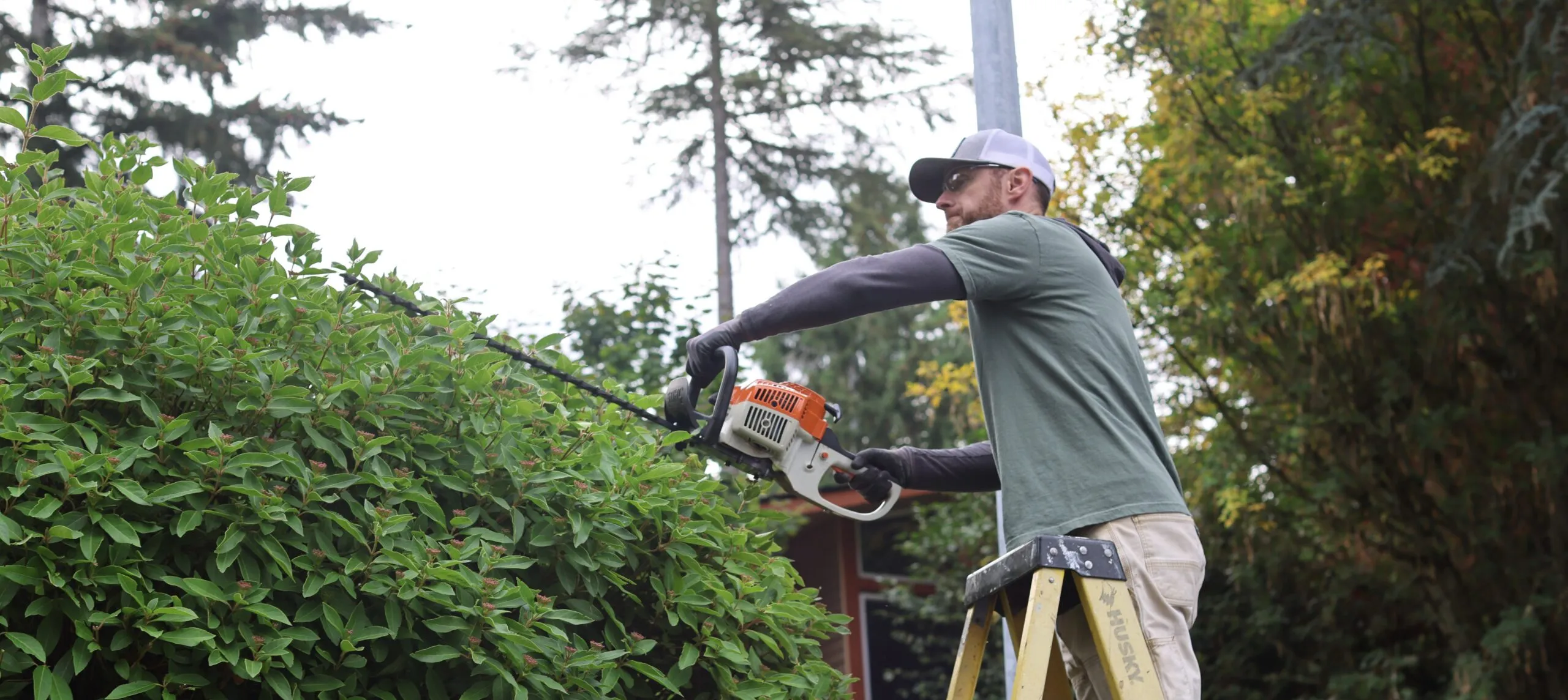 Jubilee Reach Service Days